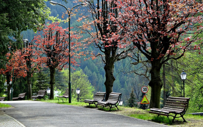 Обои картинки фото природа, парк, аллея, скамейки, фонари
