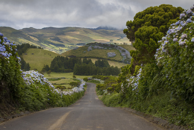 Обои картинки фото природа, дороги, простор