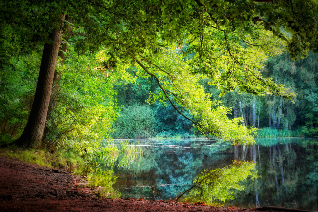 Обои картинки фото природа, реки, озера, простор