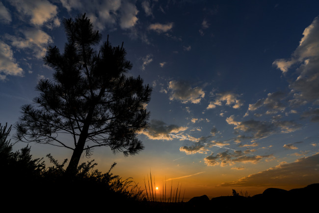 Обои картинки фото природа, восходы, закаты, простор