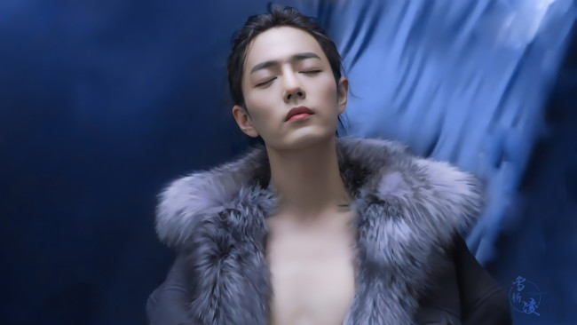 Обои картинки фото мужчины, xiao zhan, актер, воротник, мех