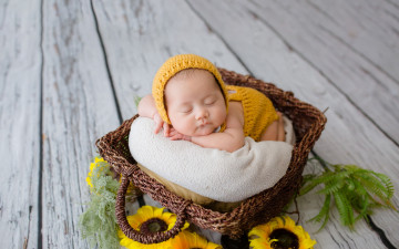 Картинка разное дети ребенок корзина