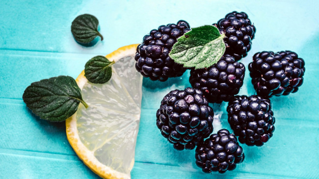 Обои картинки фото еда, ежевика, мята, ягоды