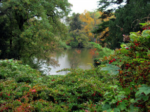 Картинка природа реки озера река