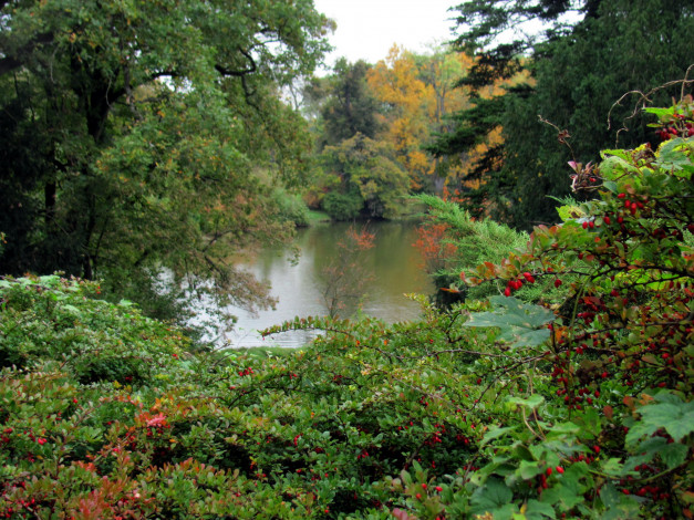 Обои картинки фото природа, реки, озера, река