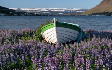 Картинка корабли лодки +шлюпки горы вода лодка люпин