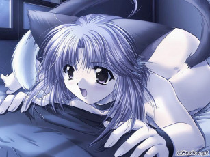 Картинка аниме *unknown другое