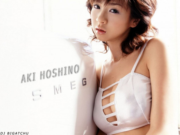 Обои картинки фото Aki Hoshino, девушки