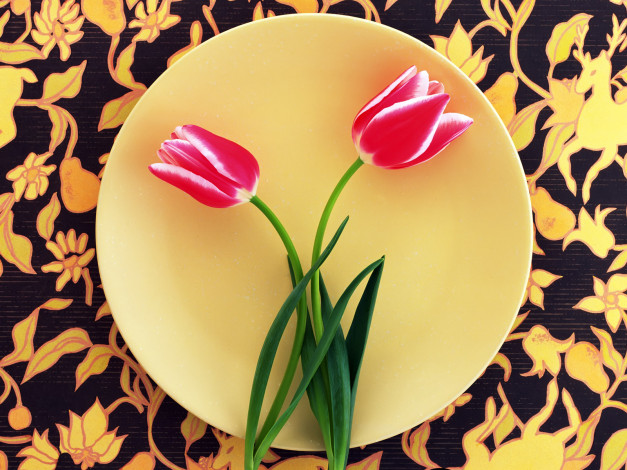 Обои картинки фото цветы, тюльпаны