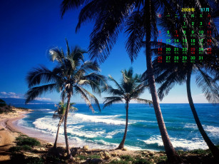 Картинка календари природа