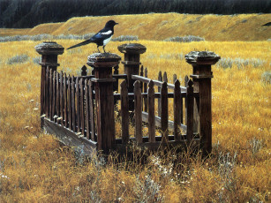 Картинка рисованные животные