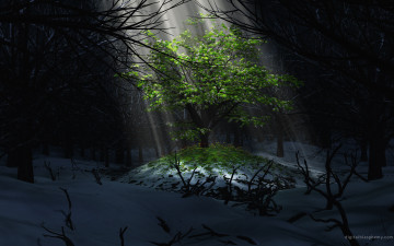 Картинка 3д графика nature landscape природа