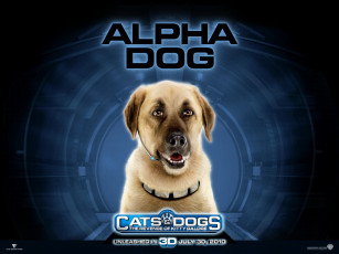 Картинка cats dogs the revenge of kitty galore кино фильмы
