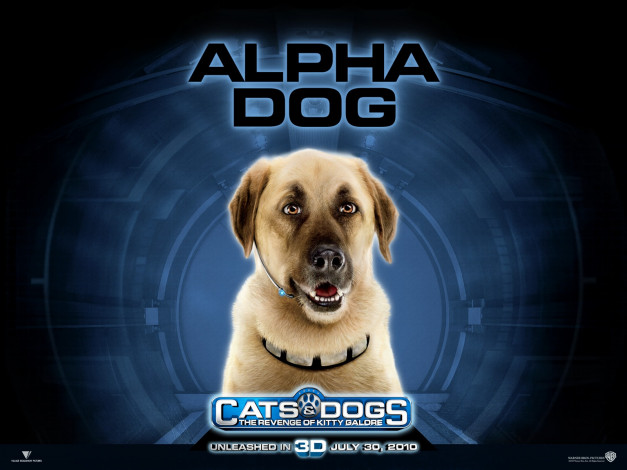 Обои картинки фото cats, dogs, the, revenge, of, kitty, galore, кино, фильмы