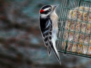 Картинка 3д графика animals животные