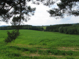 Картинка природа луга тропинка деревья зеленая трава горы