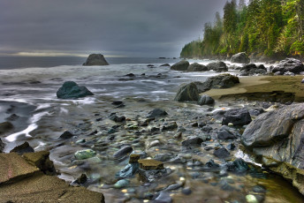 Картинка природа побережье камни вода лес