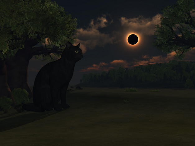 Обои картинки фото 3д, графика, animals, животные, ночь, дерево, луна, кот