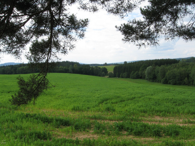 Обои картинки фото природа, луга, тропинка, деревья, зеленая, трава, горы