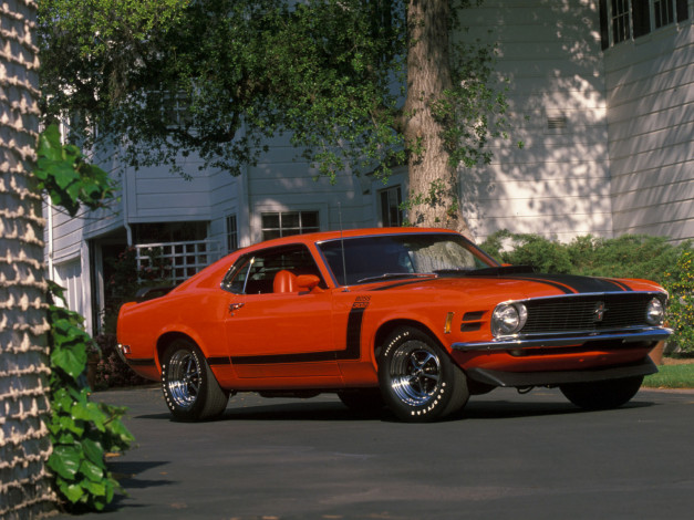 Обои картинки фото автомобили, mustang, car