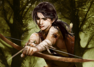 Картинка tomb raider 2013 видео игры лара крофт