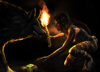 Картинка tomb raider 2013 видео игры лара крофт