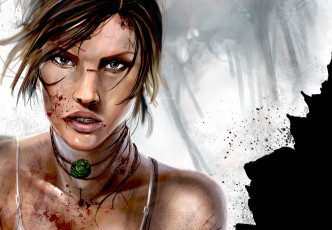 Картинка tomb raider 2013 видео игры лара крофт