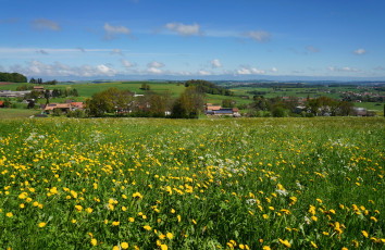 Картинка gruyere switzerland природа луга