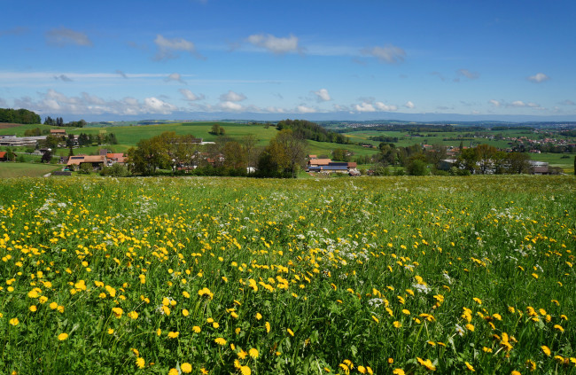Обои картинки фото gruyere, switzerland, природа, луга