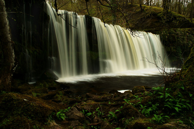 Обои картинки фото природа, водопады, лес