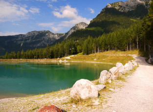 Картинка природа побережье лес река бавария германия