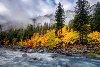 Картинка природа реки озера река лес