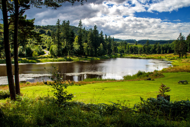 Обои картинки фото природа, реки, озера, река, лес