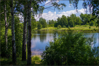 Картинка природа реки озера река лес