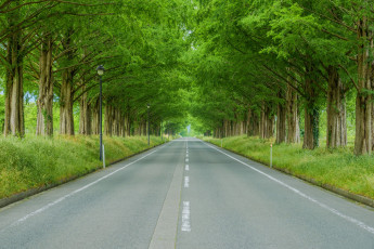 Картинка природа дороги шоссе