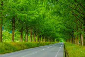 Картинка природа дороги шоссе