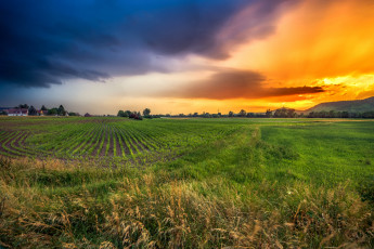 Картинка природа пейзажи рассвет