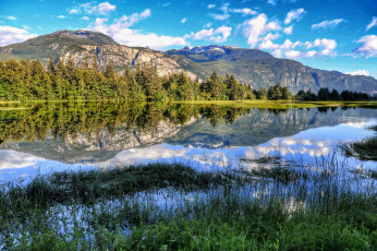 Картинка природа реки озера река лес