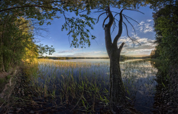 Картинка природа реки озера река лес