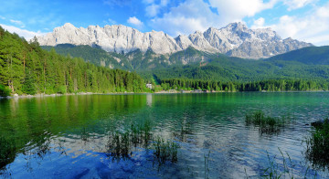 Картинка природа реки озера лес река