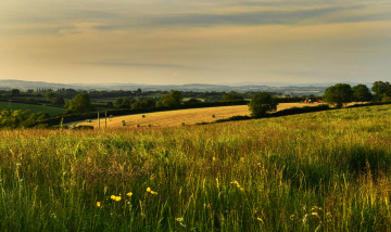 Картинка природа пейзажи обзор