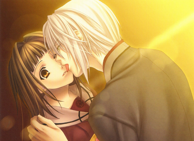 Обои картинки фото аниме, hiiro no kakera, пара