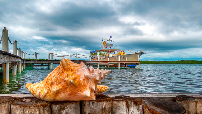 Обои картинки фото корабли, катера, пристань