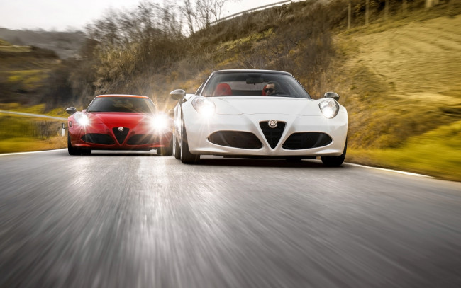 Обои картинки фото автомобили, alfa romeo, alfa