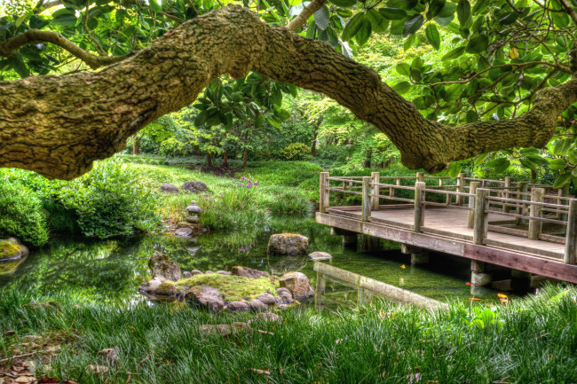 Обои картинки фото природа, реки, озера, лес, река