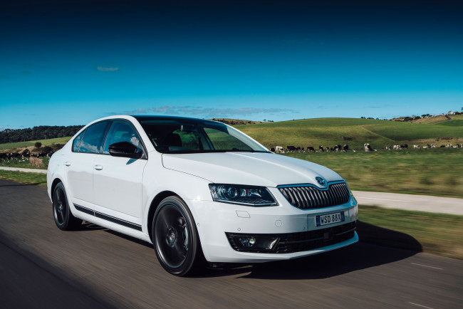 Обои картинки фото автомобили, skoda, octavia, sports, pack, au-spec