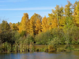 Картинка природа реки озера осень