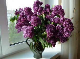 Картинка цветы сирень окно кувшин