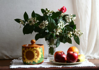 Картинка еда натюрморт яблоки кувшин