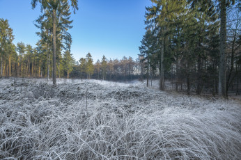 Картинка природа пейзажи простор